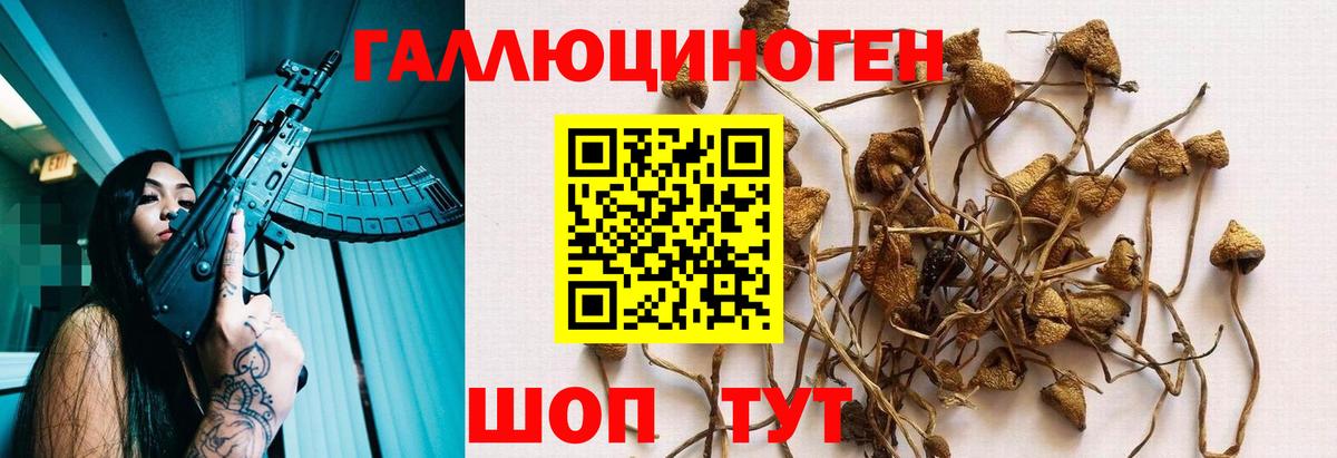 Норильск  Псилоцибиновые грибы мухоморы  Вход с VPN 